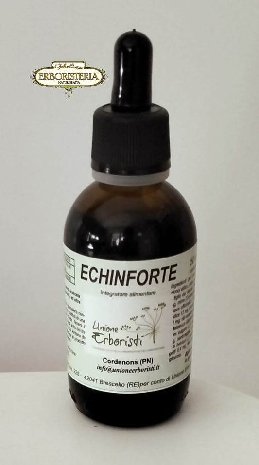 Echinforte