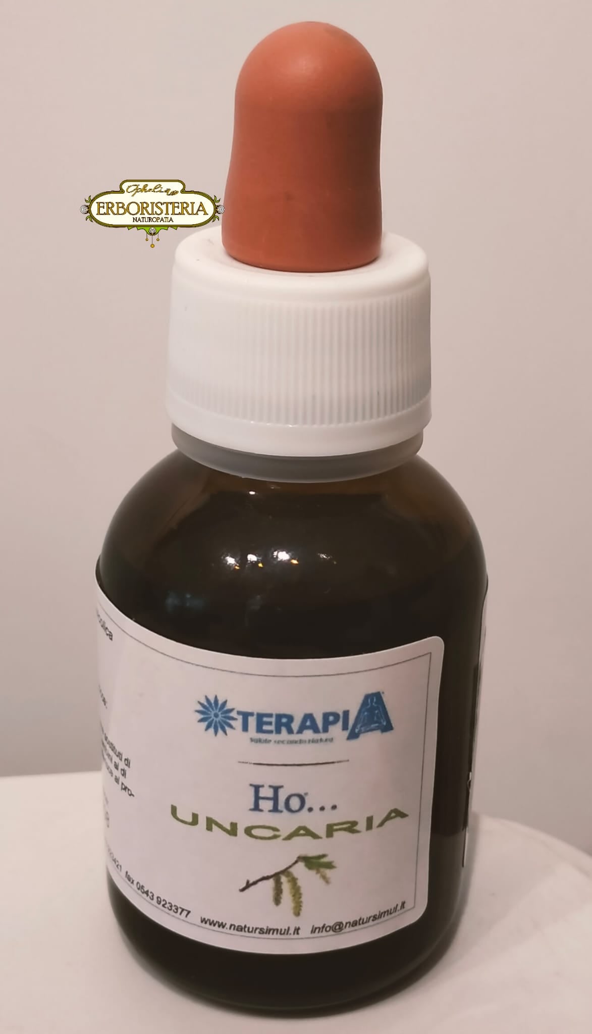 Uncaria