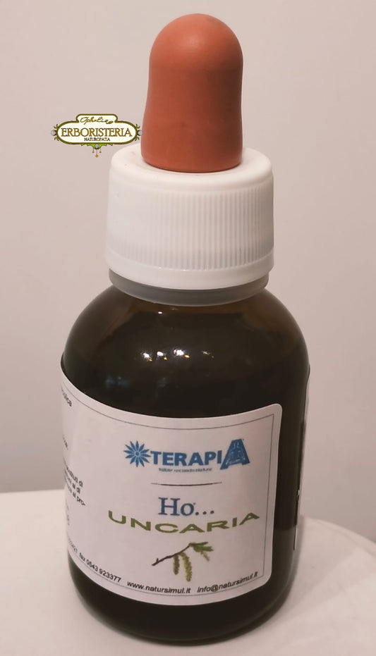 Uncaria